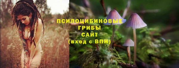винт Новозыбков