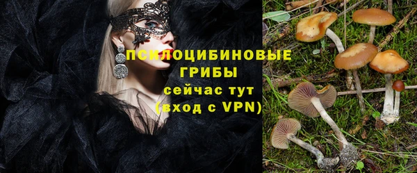 кристаллы Новодвинск