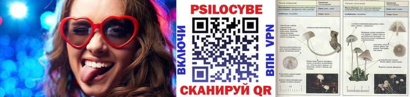 Псилоцибиновые грибы мицелий  Сергач 